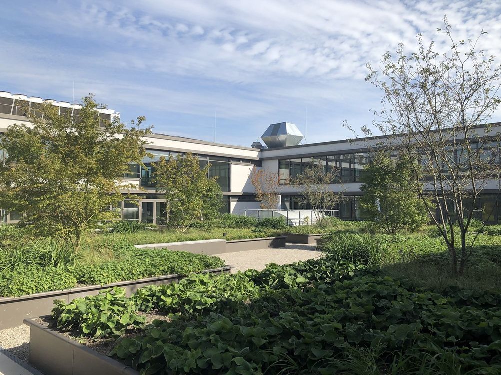 Max-Planck-Institut für Physik